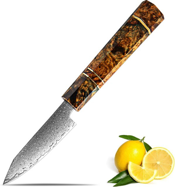 Xituo Damaskus Schälmesser aus Damaststahl mit achteckigem Holzgriff in Mehrfarben, 3,5 Zoll - Bild 1