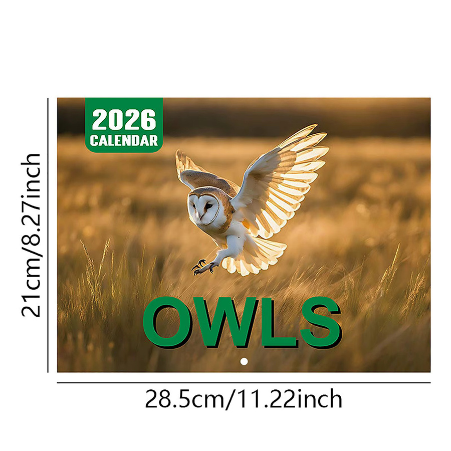 Wandkalender 2026 mit Eulen-Motiv, 12-Monats-Flip-Kalender in Mehrfarbig für deine Planung - Bild 3