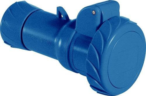 Schneider Electric PKY32M723 CEE Kupplung 32A 250V IP67 Blau - Bild 1