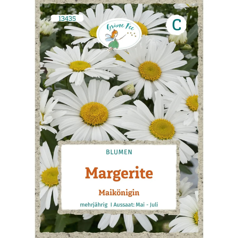 Grüne Fee Margerite Maikönigin Saatgut für Beete, Rabatten und Vasen - Bild 2