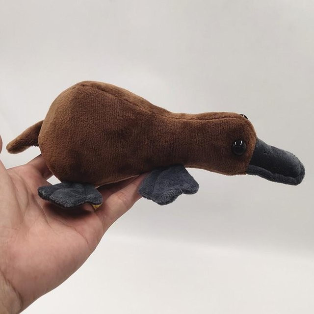 Yiran toy Schnabeltier, Plüsch, Stofftier, Braun, 20cm - Bild 1