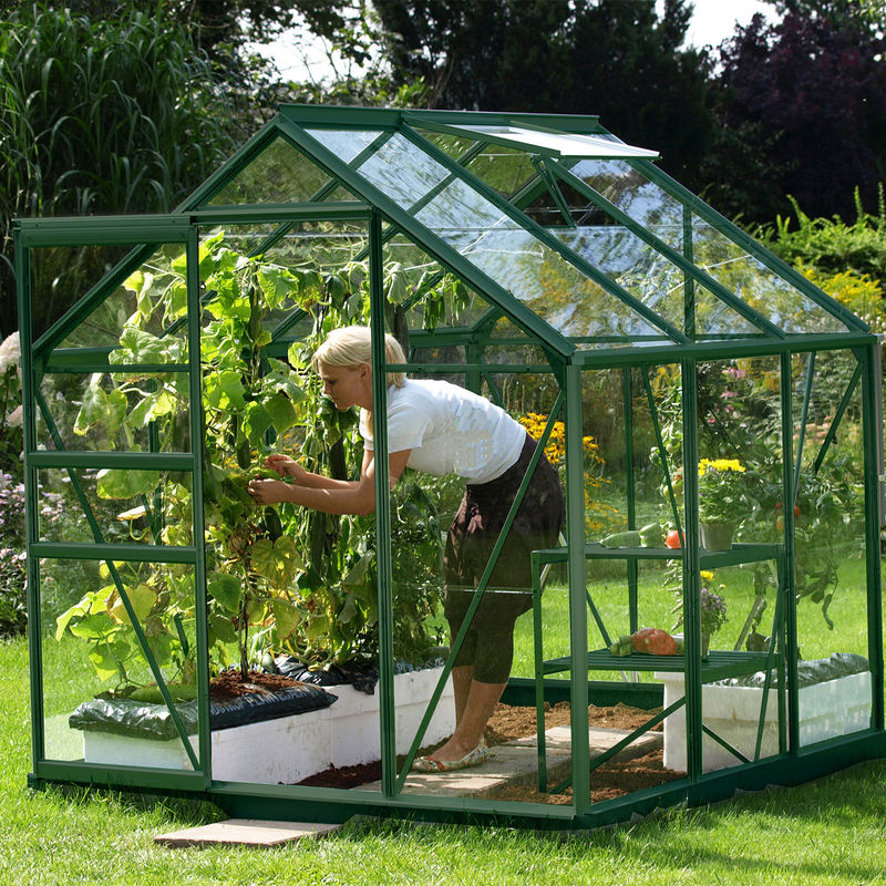 Vitavia Gewächshaus Venus 3800 in Grün mit 3 mm Einscheiben-Sicherheitsglas und 3,8 m² Fläche - Bild 4