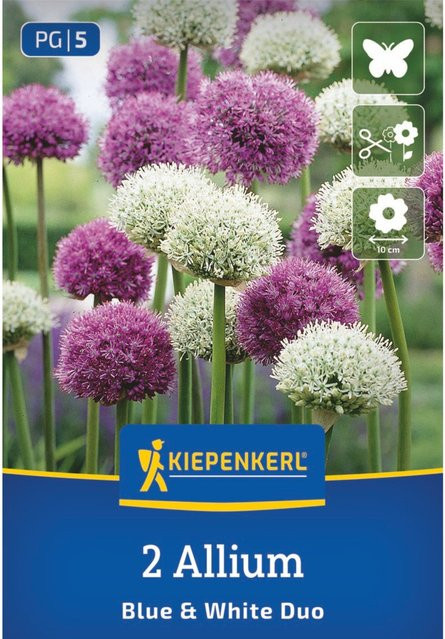 Kiepenkerl Zierlauchmischung Blue & White Duo, bunt, 2 Zwiebeln - Bild 1