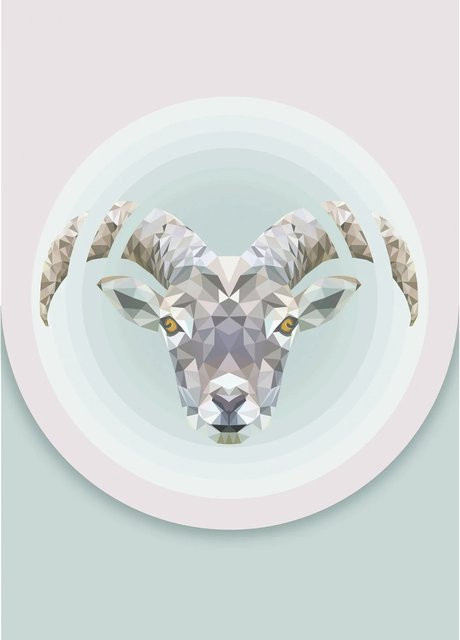 Komar Wandbild Capricorn Paper Poster Multicolor B: 50 cm, H: 70 cm - Bild 1