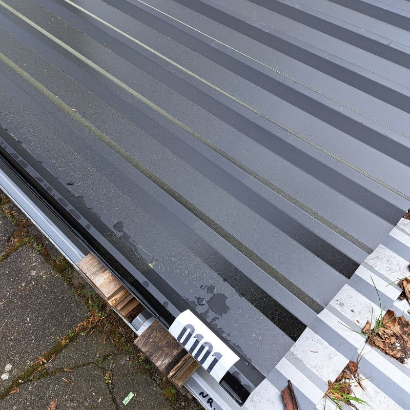 Trapezblech Dach Friedrich von Lien AG Tiefschwarz RAL 9005 Länge: 250 cm - Bild 1