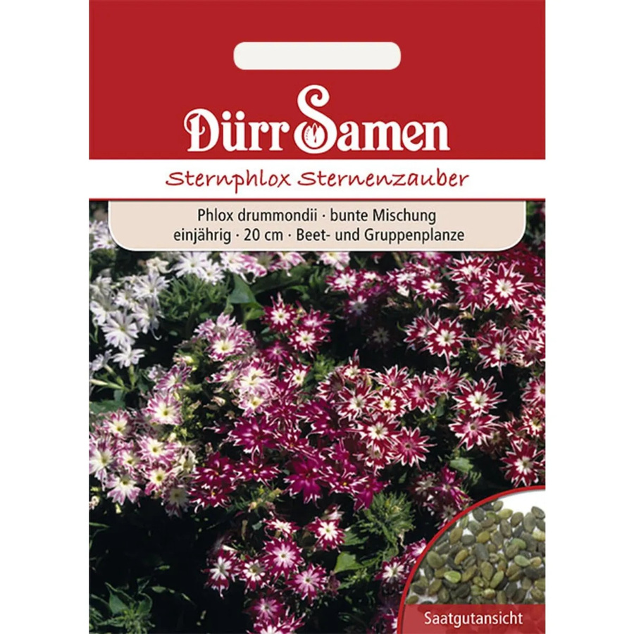 Dürr Sternphlox Mischung Einjähriges Saatgut für Beet und Gruppenpflanzen - Bild 2