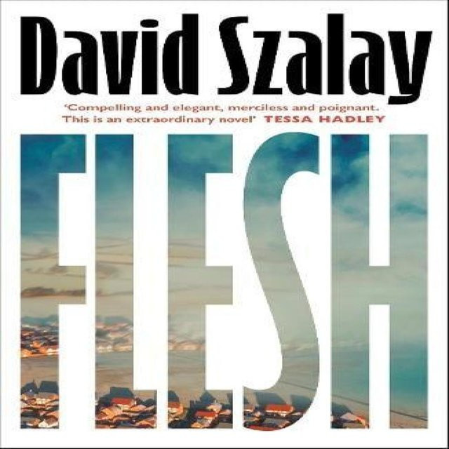 Flesh von David Szalay, Hardcover - Bild 1