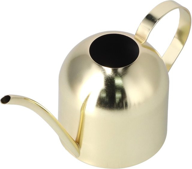 mfySpace Gießkanne aus Edelstahl im Vintage-Design mit langem Ausguss, Gold und Beige, 1000 ml - Bild 1
