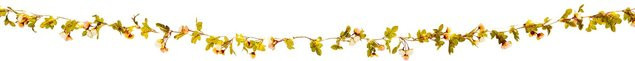 Näve LED-Lichterkette Röschen mit Blüten und Blättern in Bunt und Warmweiß - Bild 1