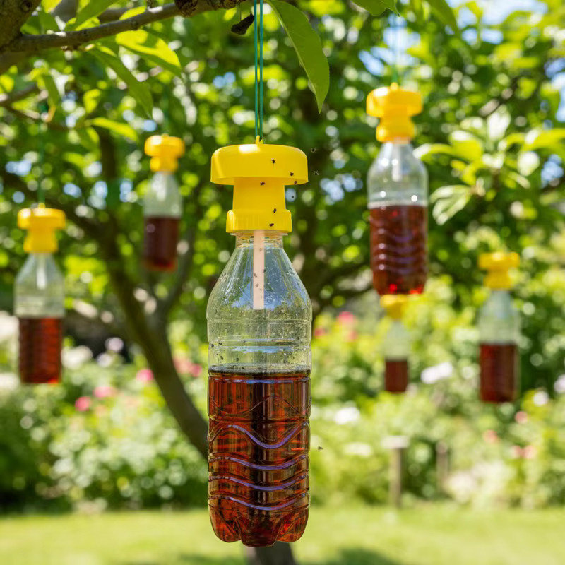 5-in-1 Fruchtfliegenfalle Gelbe Drosophila-Falle zur Insektenkontrolle für Haus, Bauernhof und Obstgarten - Bild 4