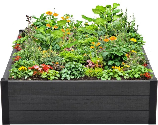TRUTZHOLM Hochbeet Beeteinfassung mit Wühlmausgitter in Anthrazit, B/T/H: 100 x 100 x 28,5 cm - Bild 1