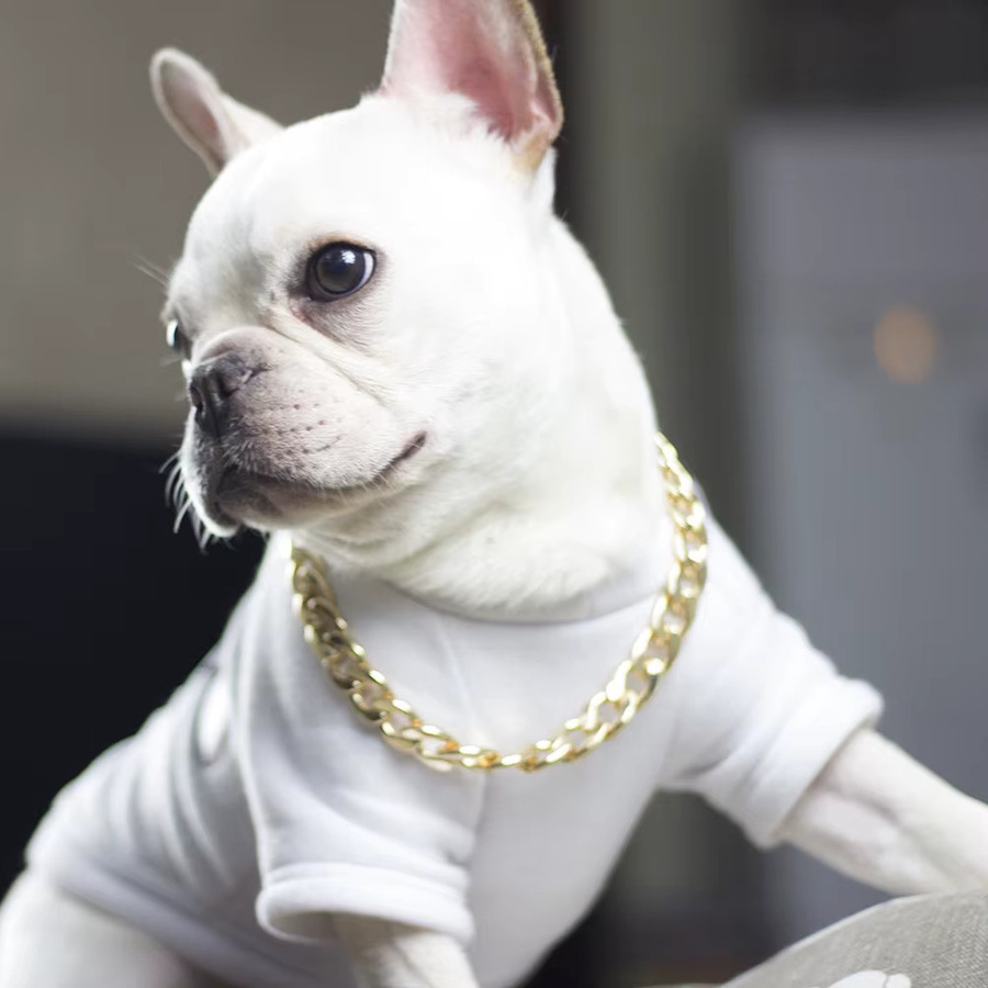 COOYOMOO Hundehalsband Metall, Gold - Bild 3