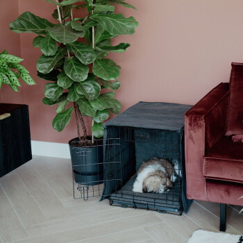 District 70 Hundeboxhülle CRATE XL in Dunkelgrau - Bild 2
