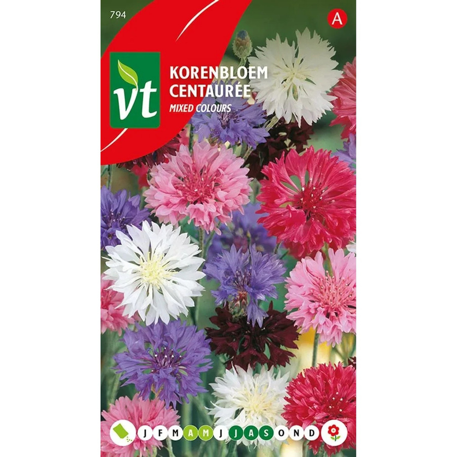 Arborix Tausendschön Mix Saatgut Bunte Mischung für den Garten, 1 g - Bild 2