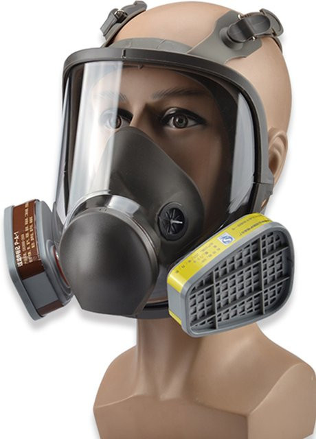AnruiGe PROTECT Vollgesichtsschutzmaske Typ 6800 in Größe L zum Schutz gegen Chemikalien und Holzstaub - Bild 1