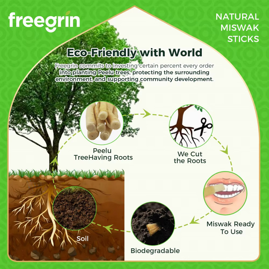 FREEGRIN Miswak-Zahnbürstenstäbchen, Kokosnuss-Aromatisiert - Bild 5