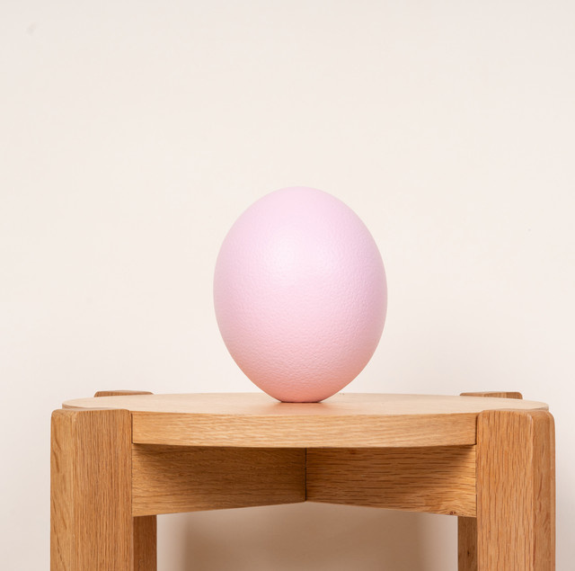 Straußenei von BLUME2000 in Pink Pastell für Ostern - Bild 1