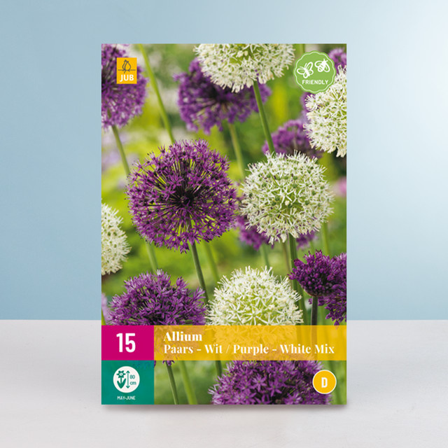 Allium Zwiebelmix Lila-Weiß von BLUME2000 mit 15 Zwiebeln - Bild 1