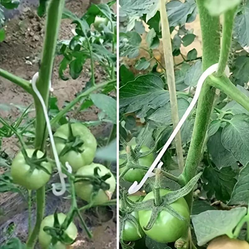 20 Stück Tomaten-Frucht-Haken aus Kunststoff zur Befestigung von Obst und Gemüse, Garten-Pflanzenklemmen für Gartenbau und Gewächshaus, Länge: 16 cm - Bild 5