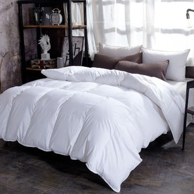 Bin Chi Textiles Gänsedaunen Bettdecke für den Winter, Weiß, B/B: 200 x 230 cm - Bild 1