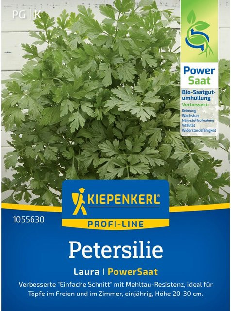 Kiepenkerl Petersilie Laura (Petroselinum crispum) für Beete, Hochbeete, Balkonkästen und Kübel - Bild 1