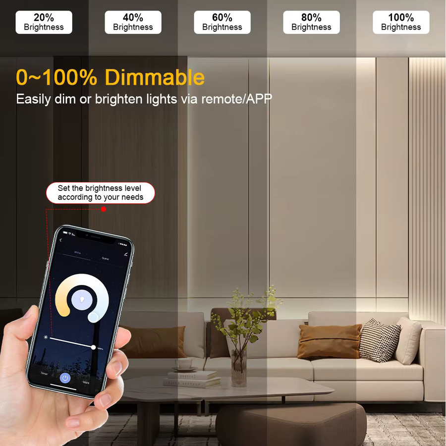 TuYa Zigbee 3.0 LED-Treiber und Leistungsdimmer für Single und CCT-Farbstreifen, kompatibel mit der Tuya Smart App, 220V AC zu 24V DC - Bild 4