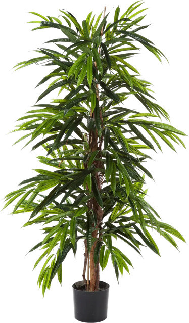 Künstliche Longifolia Pflanze Marvin von Aplanta, Höhe: 180 cm - Bild 1