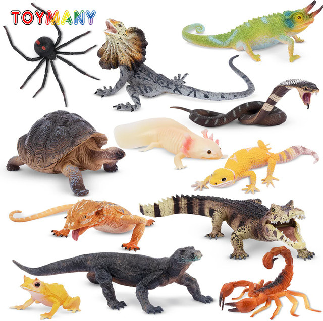 toymany Simulation Reptil Tiere Modell Spielzeug, 12-teiliges Set, Bunt / Mehrfarbig - Bild 1