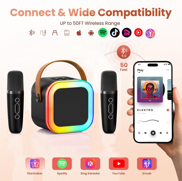 HLWL K12 Tragbare Mini-Karaokemaschine in Schwarz mit Dual-Mikrofonen und Bluetooth-Lautsprecher - Bild 1