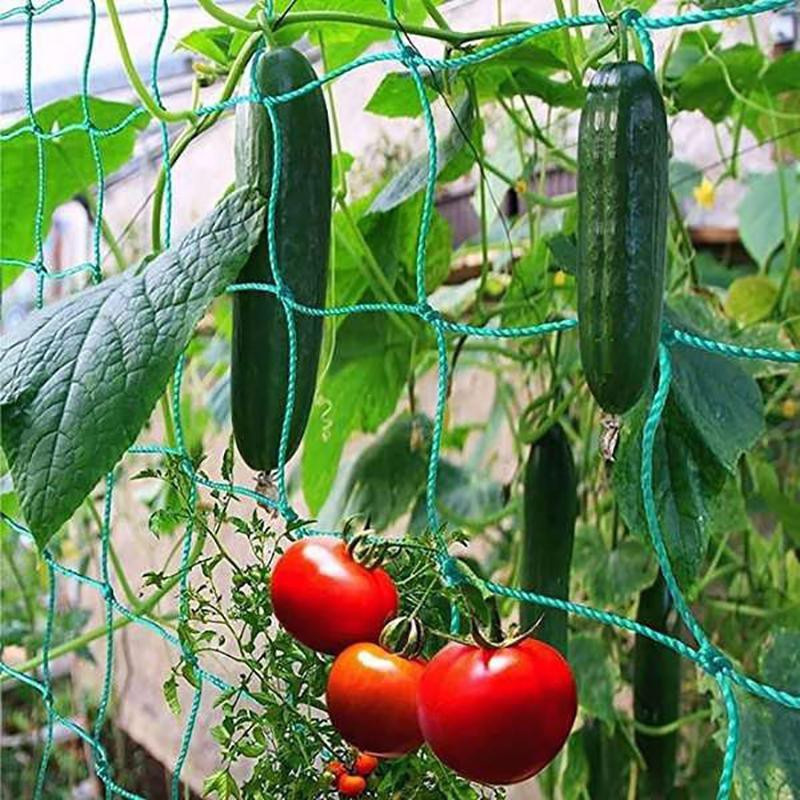 YJSTY Kletternetz für Gartenpflanzen in Grün mit 27 Strängen, B: 270 cm, H: 180 cm - Bild 2