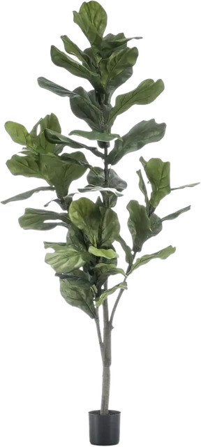 Künstliche Geigenfeige Peter von Aplanta, Höhe: 150 cm - Bild 1