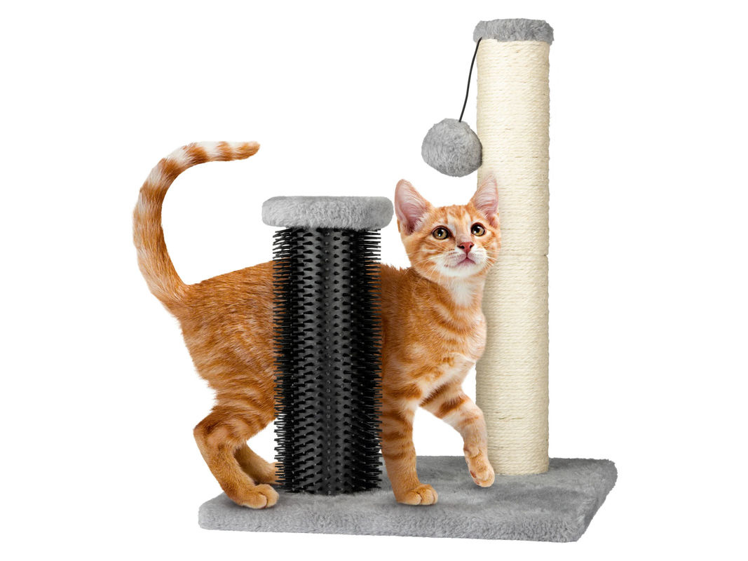 ZOOFARI Katzen Kratzstamm mit Massagebürster und integriertem Spielzeug in Multicolour - Bild 3