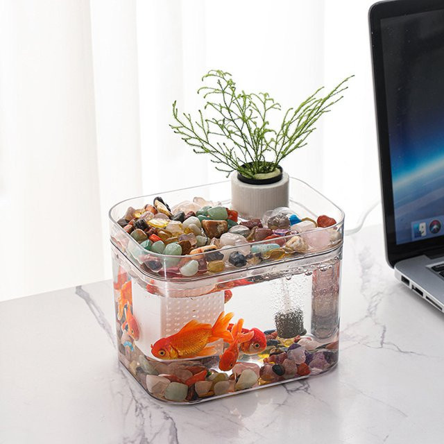 TWISTER.CK Aquarium Fischzuchtbox mit USB-Luftpumpe, transparent - Bild 1
