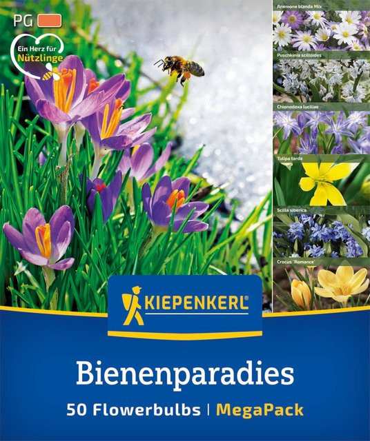 Kiepenkerl Bienenparadies Blumenzwiebeln, 50 Stück, bunt - Bild 1