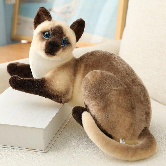 Bai Fen Bai Toys Siamkatzen-Plüschtier, amerikanische Kurzhaarkatze - Bild 1