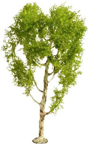 NOCH Baum Moorbirke, Natur, Draht, Grün, 1-teiliges Set - Bild 1