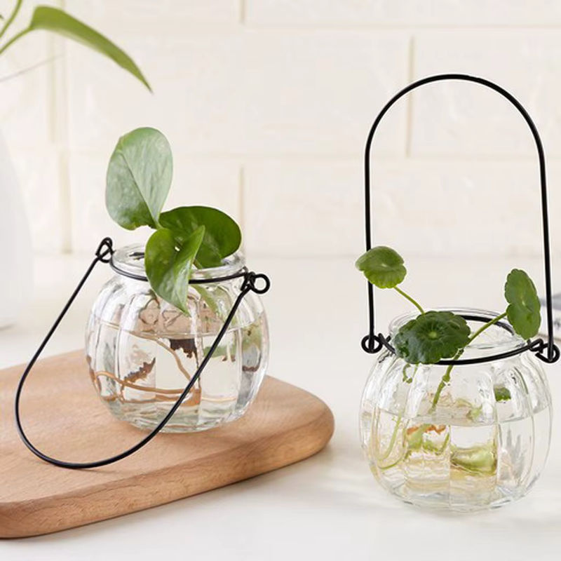 Kesoto Hängevase in Kürbisform aus Glas, transparent, bauchig für Blumen und Pflanzen - Bild 2