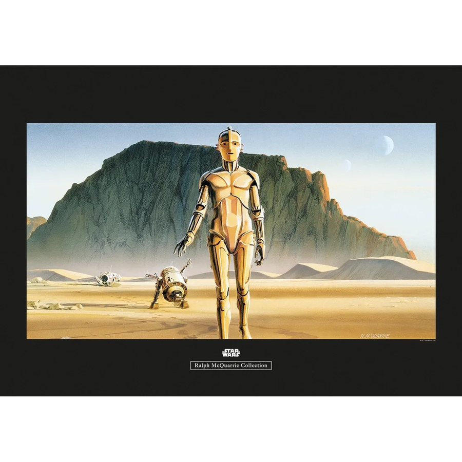 Komar Wandbild Star Wars Droids Paper Poster Multicolor B: 70 cm, H: 50 cm - Bild 2