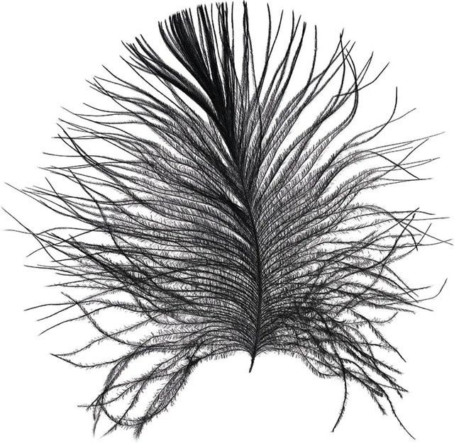 Komar Wandbild Feather White B: 50 cm, H: 70 cm - Bild 1