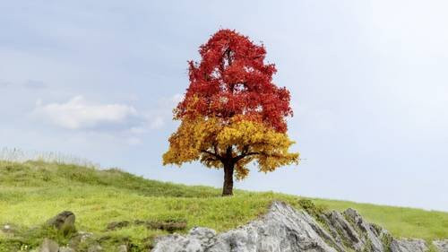 NOCH Baum Eiche Herbst 1-teiliges Set - Bild 1
