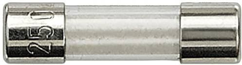 Siemens 5TG8330 Feinsicherung 4A 250 V/AC in Silber, Durchmesser: 5 mm, Länge: 25 mm - Bild 1
