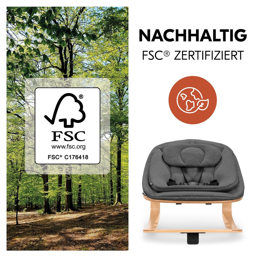 Hauck Alpha Plus 4-tlg. Newborn Set Hochstuhl mit Neugeborenenaufsatz, Wippe Eco und Sitzkissen in Grey - Bild 3