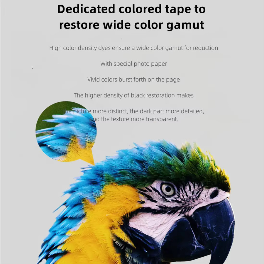 Xiaomi MIjia Fotodrucker Zubehör Set: 80 Stück selbstklebendes 6-Zoll-Fotopapier mit farbigem Klebeband und HD-Schutzfolie - Bild 2
