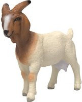 Schleich Farm World Burenziege Spielfigur - Bild 1