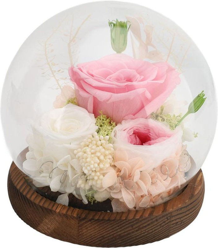 OutsideWorld Ewige Rose unter Glasglocke mit LED-Beleuchtung in Rosa als florale Dekoration - Bild 1