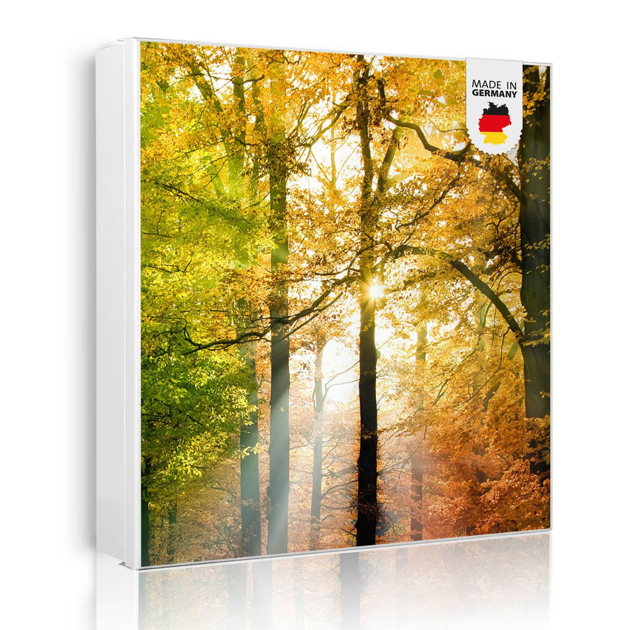 Schlüsselkasten aus Metall von banjado mit Motiv Herbstwald, weiße Schlüsselaufbewahrung mit 32 Haken und magnetischer Front, B/H: 30 x 30 cm - Bild 1