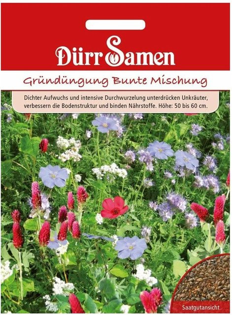 Dürr Gründüngung Bunte Mischung Samen für 100 m2, 500 g - Bild 1