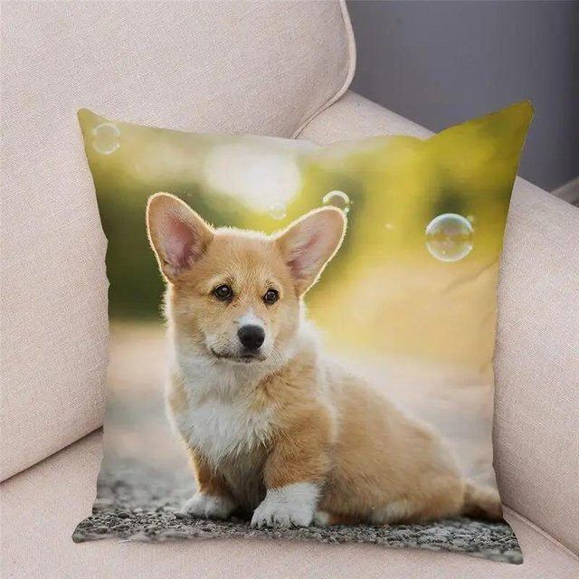 JMG Clothing Kissenbezug mit Corgi Hundemuster, doppelseitig bedruckter Kurzplüsch, Mehrfarbig, B/H: 50 x 50 cm - Bild 1