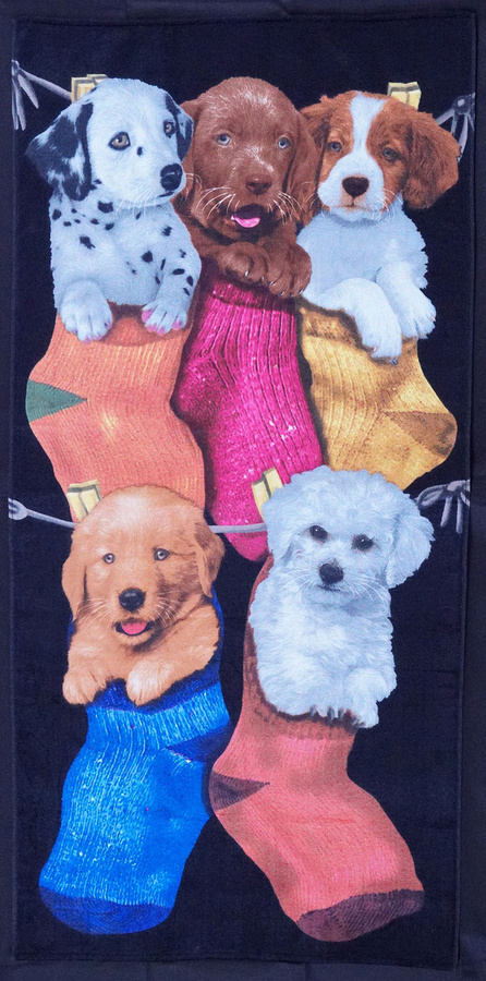 Bouton Strandtuch Puppies Socken Hunde in Multicolour, B/B: 76 x 152 cm - Bild 1
