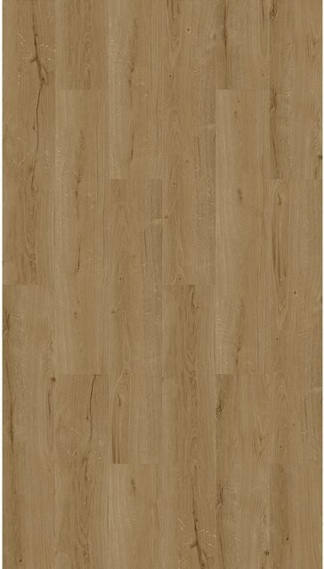 Decoflooring Vinylboden Rhone Eiche Dryback in Braun mit Holzoptik - Bild 1
